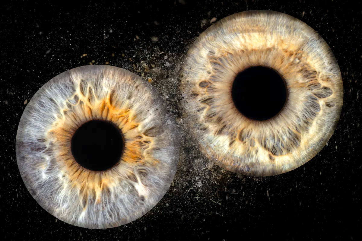 Photo iris macro — Studio Deux-Quatre Guebwiller