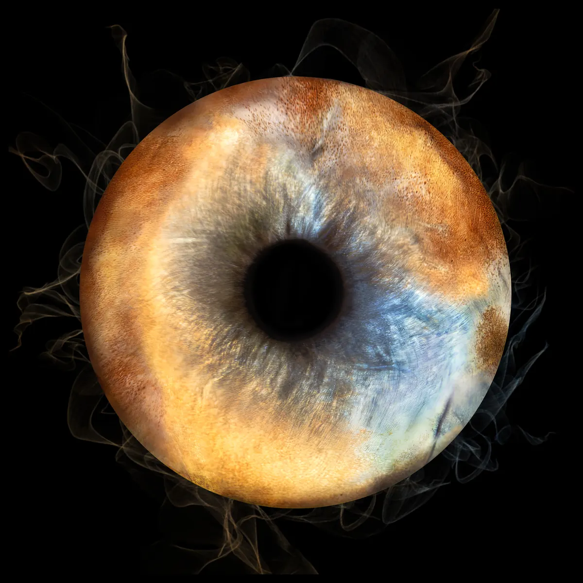 Photo iris macro — Studio Deux-Quatre Guebwiller