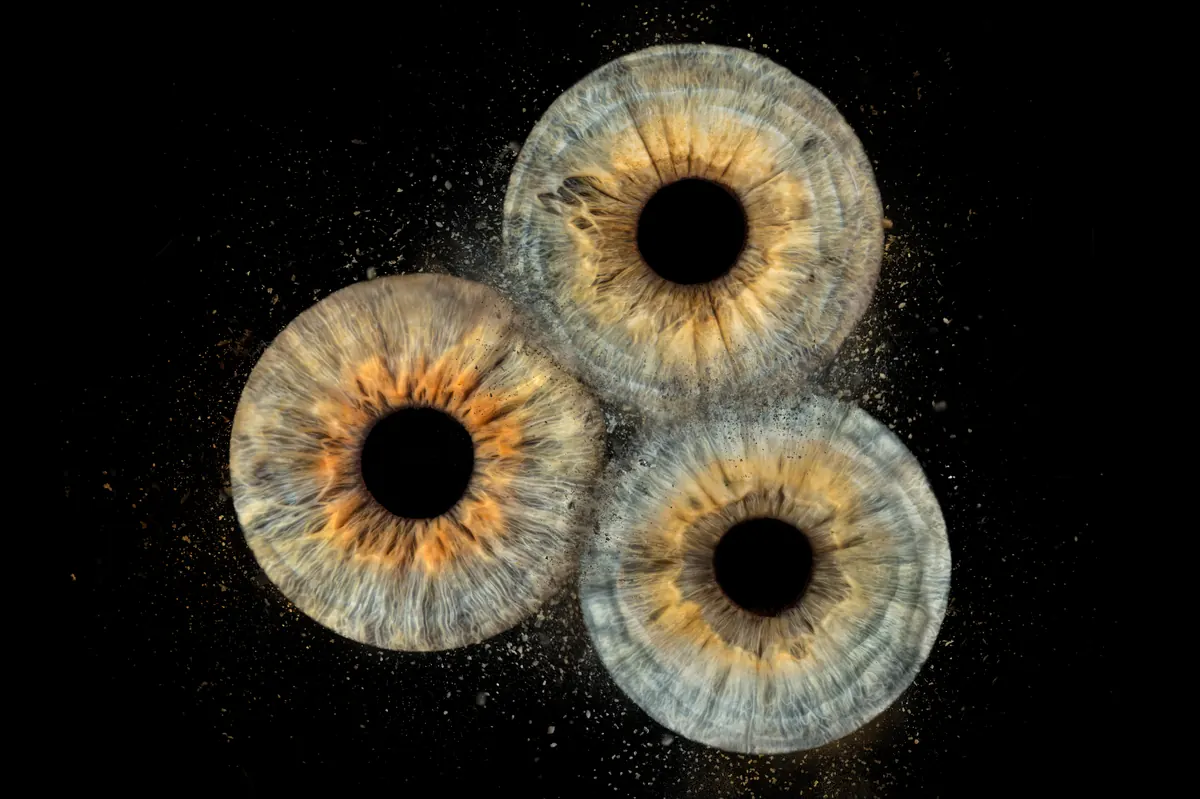 Photographie iris — Studio Deux-Quatre Guebwiller