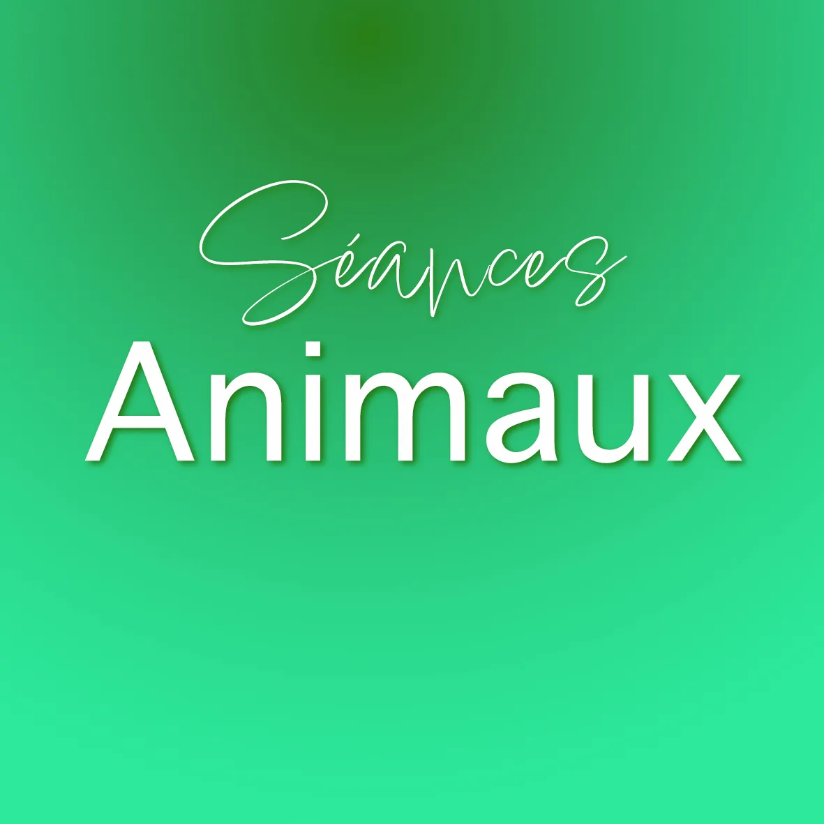 Portrait photo animaux — Studio Deux-Quatre Guebwiller