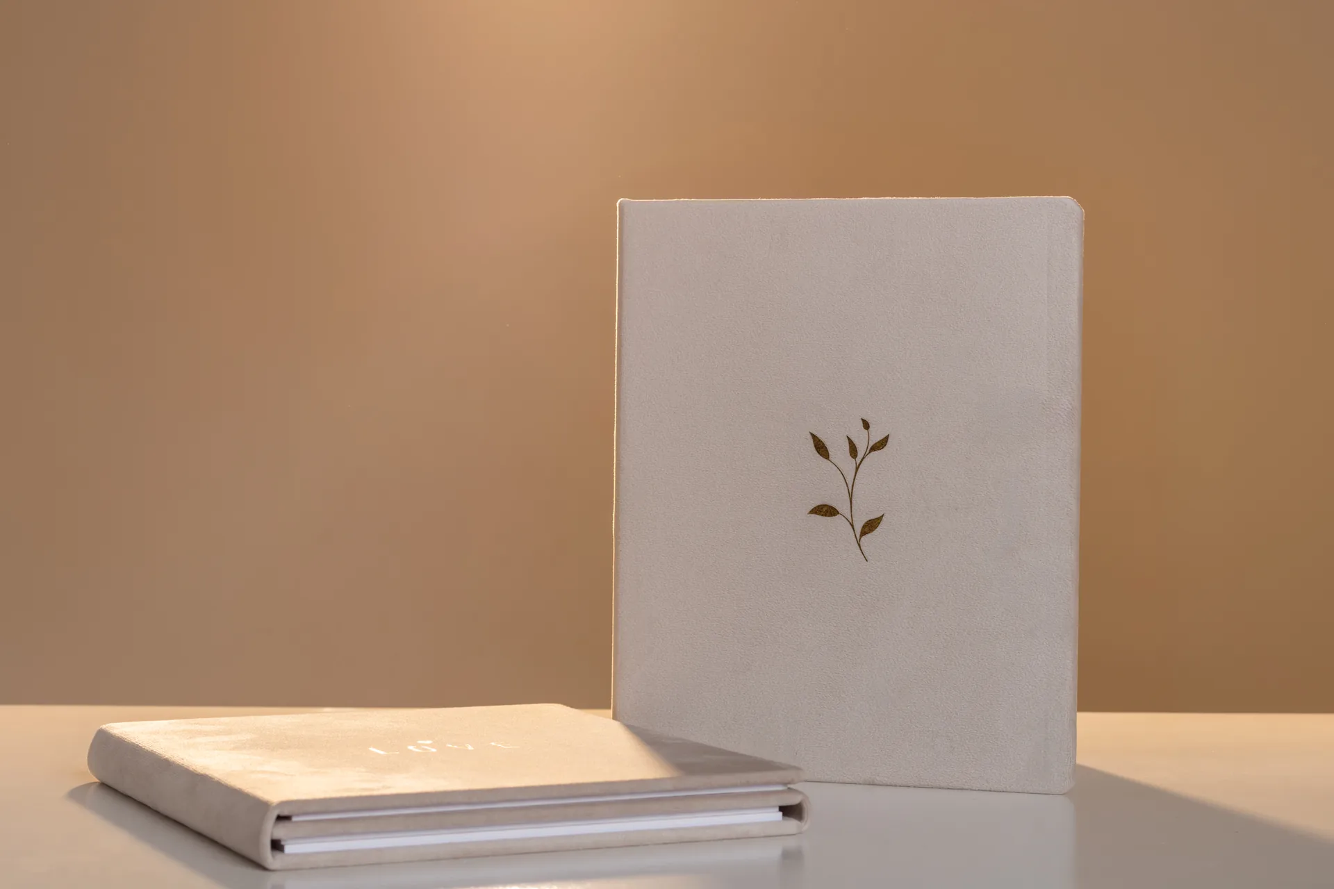 Triptyque ouvert avec 3 portraits — mini livre photo 3 volets